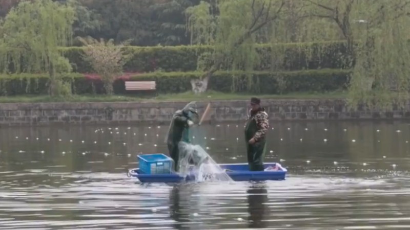 別人家的學校！安師大請師生吃一萬斤魚