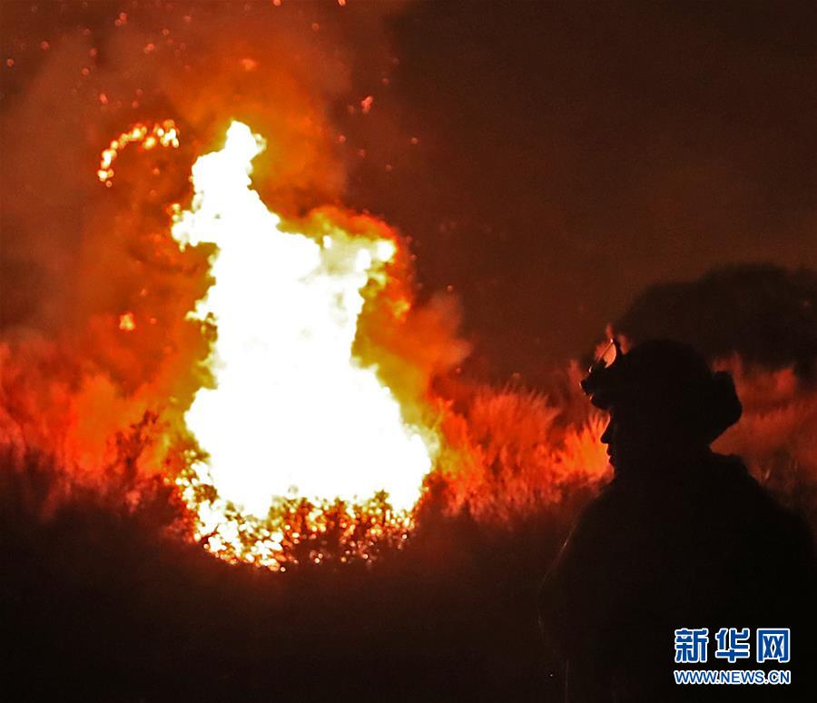 （國際）（5）美國加州山火肆虐