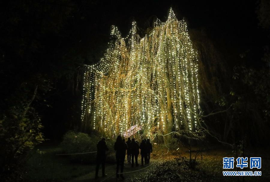 （國際）（1）“柏林圣誕花園”燈光秀開幕